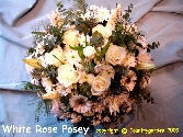 White Posy R P 3